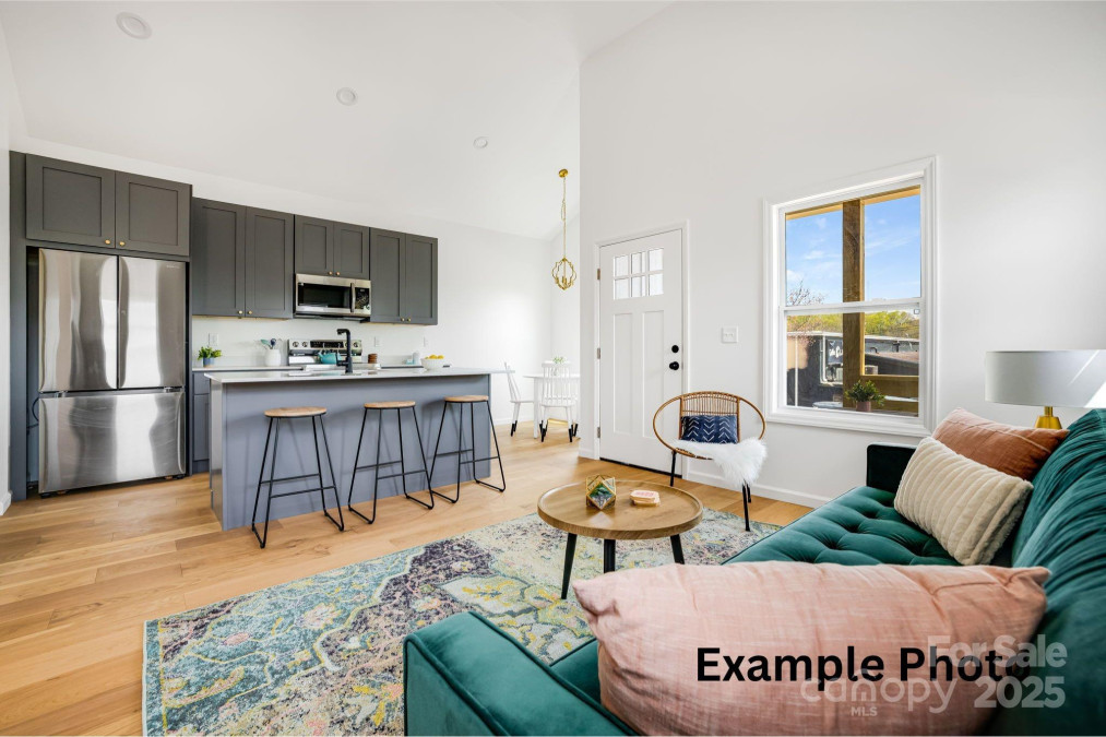 4 Chestnut Ave Asheville, NC 28804