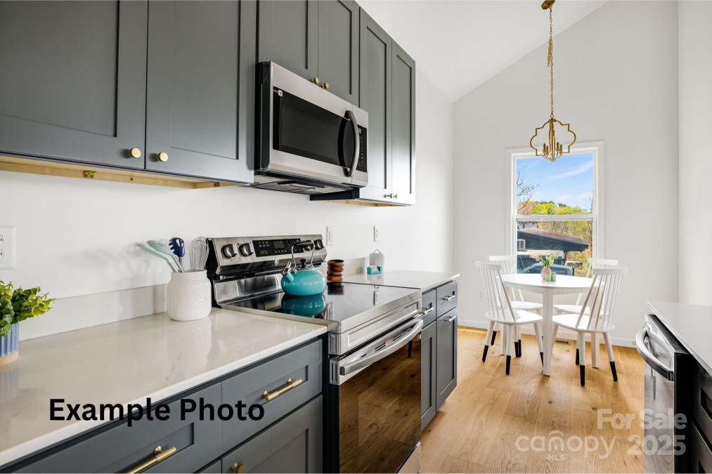 4 Chestnut Ave Asheville, NC 28804