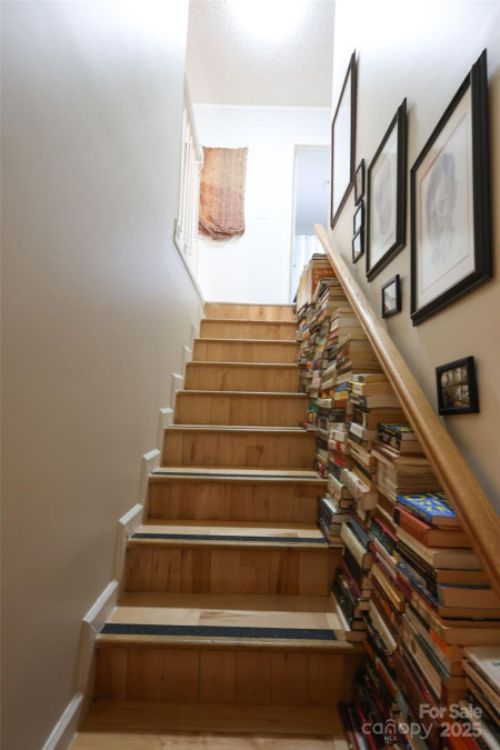 37 Nichols Hill Dr Asheville, NC 28804