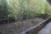 37 Nichols Hill Dr Asheville, NC 28804