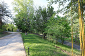 37 Nichols Hill Dr Asheville, NC 28804