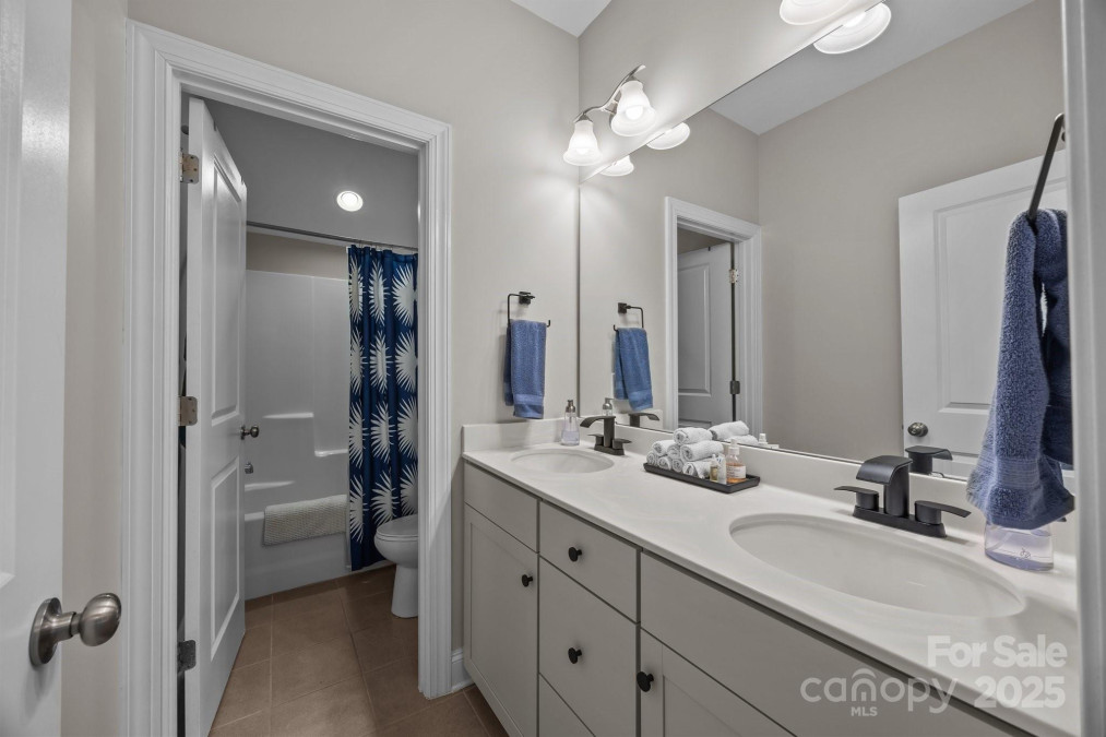 17513 Julees Walk Ln Davidson, NC 28036