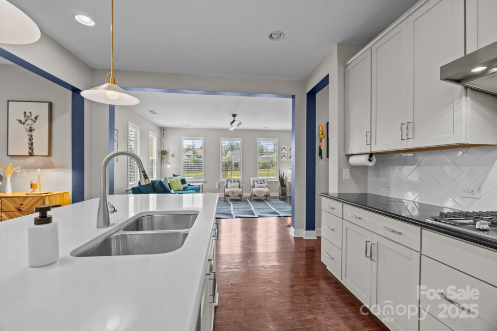 17513 Julees Walk Ln Davidson, NC 28036
