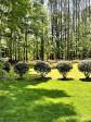 6599 Majestic Pine Dr Vale, NC 28168