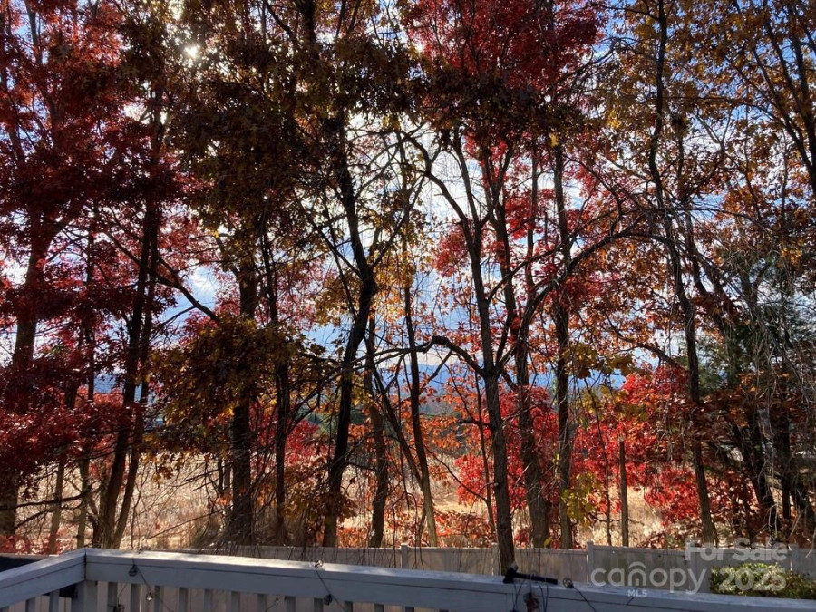 23 Hollybrook Dr Asheville, NC 28803