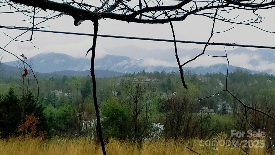 23 Hollybrook Dr Asheville, NC 28803