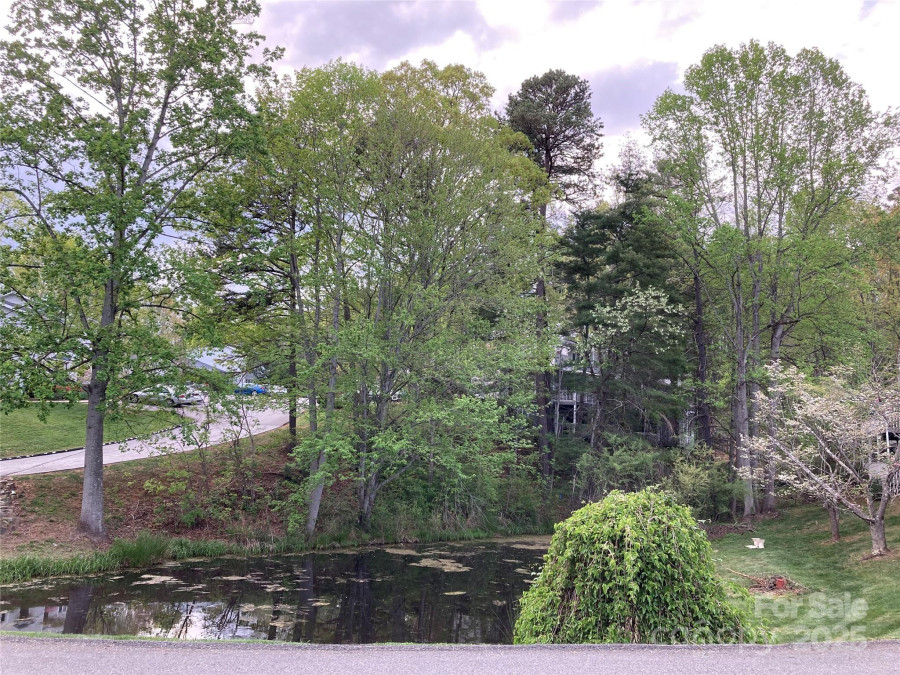 23 Hollybrook Dr Asheville, NC 28803
