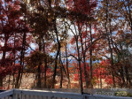 23 Hollybrook Dr Asheville, NC 28803
