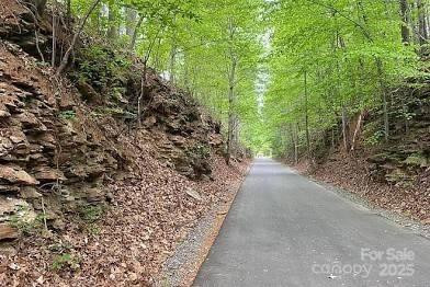 130 Arlington St Forest City, NC 28043
