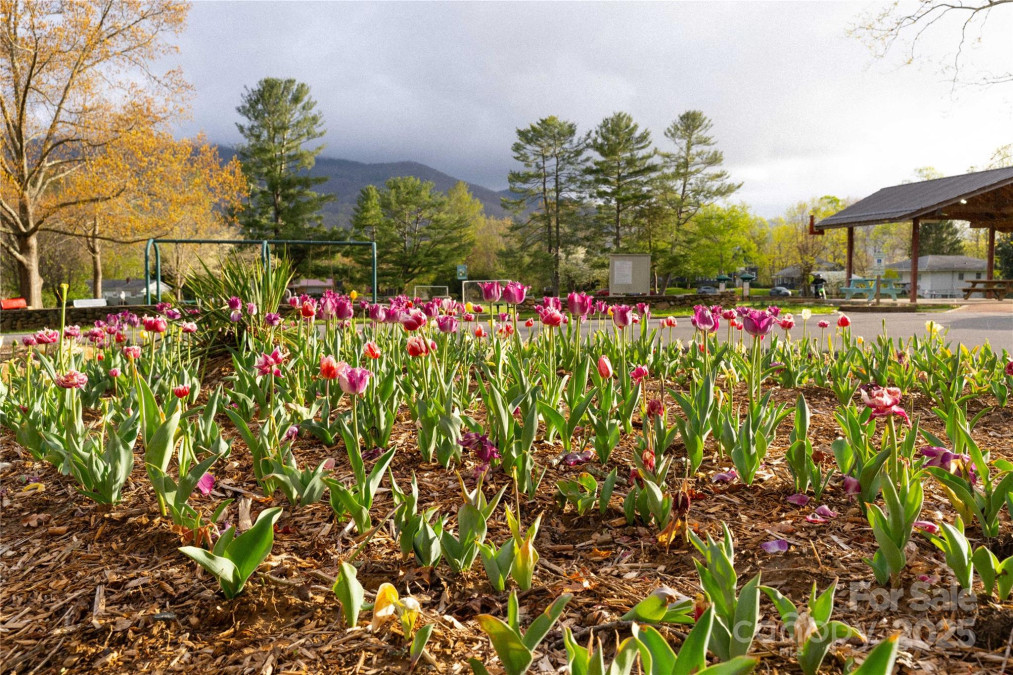 100 Park Ridge Ave Swannanoa, NC 28778