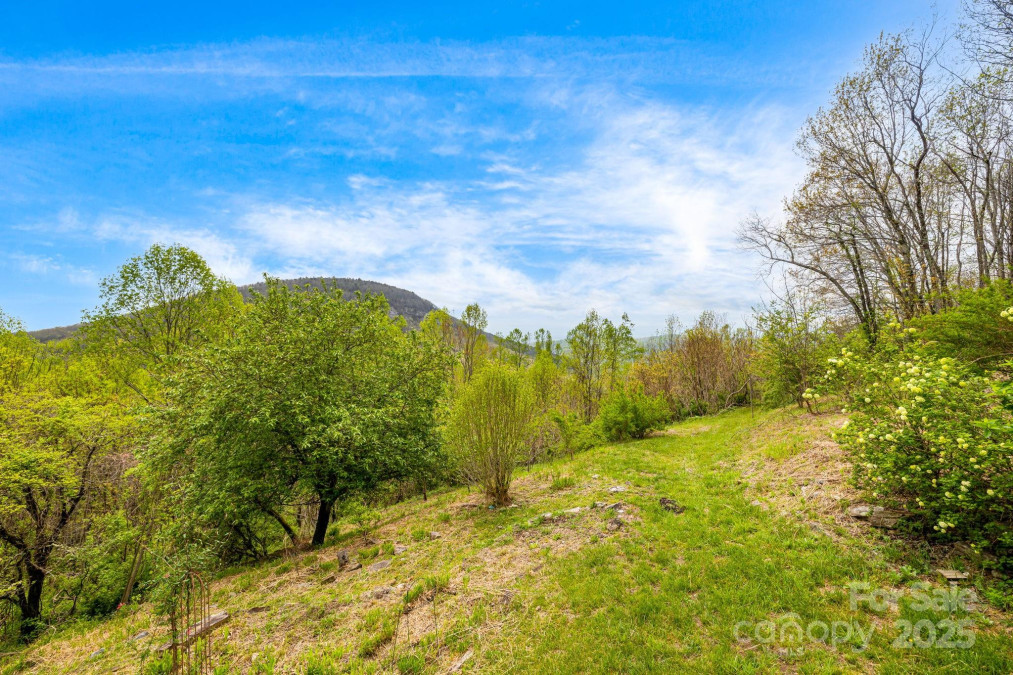 736 Banks Mountain Dr Hendersonville, NC 28792