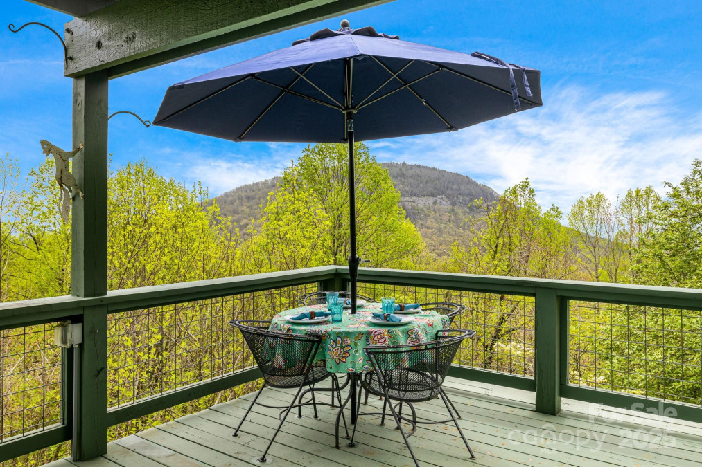 736 Banks Mountain Dr Hendersonville, NC 28792