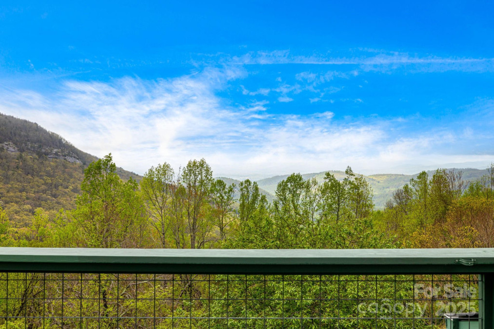 736 Banks Mountain Dr Hendersonville, NC 28792