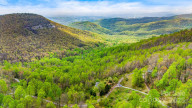 736 Banks Mountain Dr Hendersonville, NC 28792
