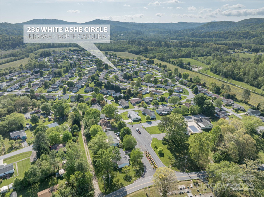236 White Ash Cir Hendersonville, NC 28739