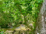 175 Spring St Marion, NC 28752