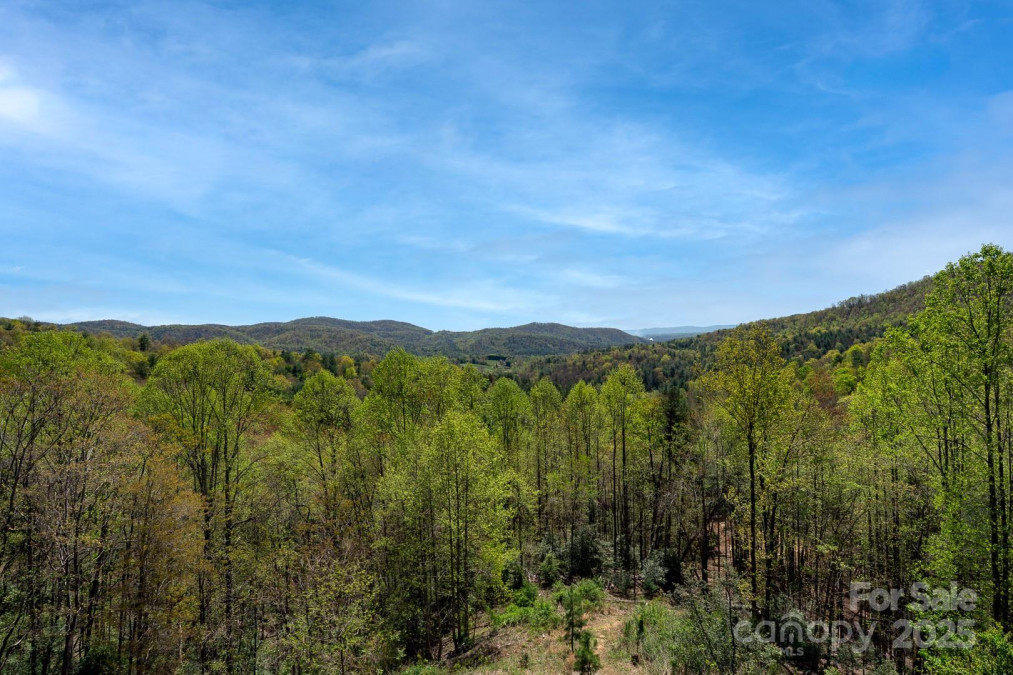 897 Turkey Trl Mcgrady, NC 28649
