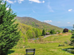 213 Rice Dr Waynesville, NC 28785