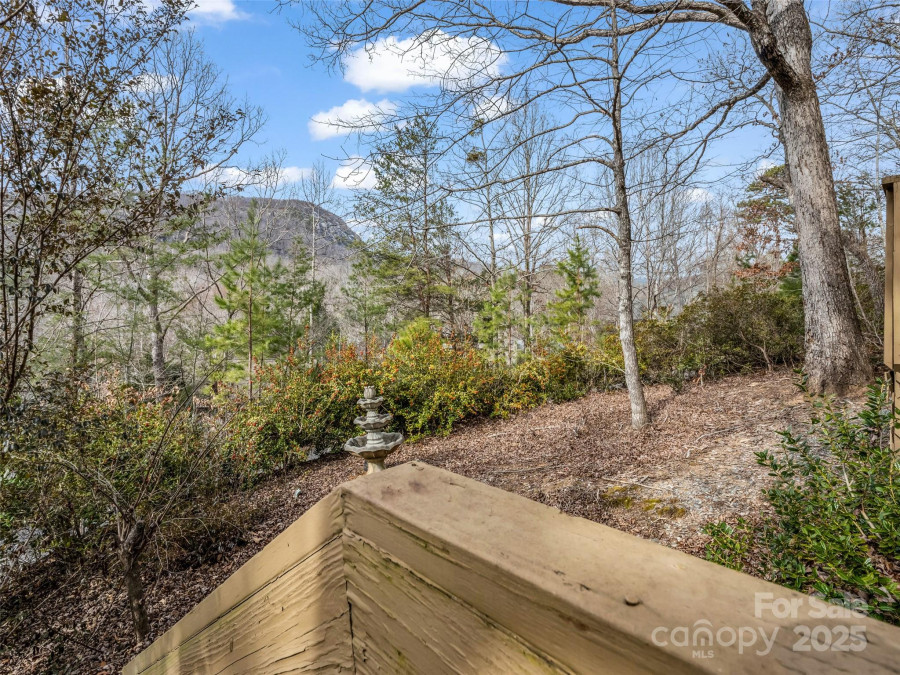 155 Quail Cove Rd Lake Lure, NC 28746