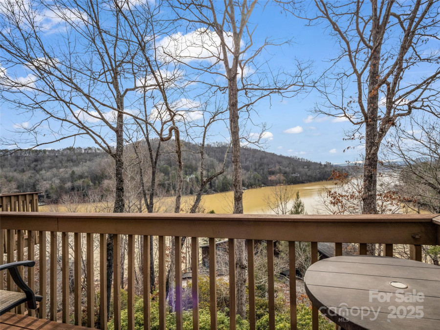 155 Quail Cove Rd Lake Lure, NC 28746