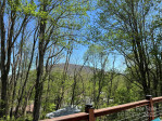 506 Greenbriar Dr West Jefferson, NC 28694