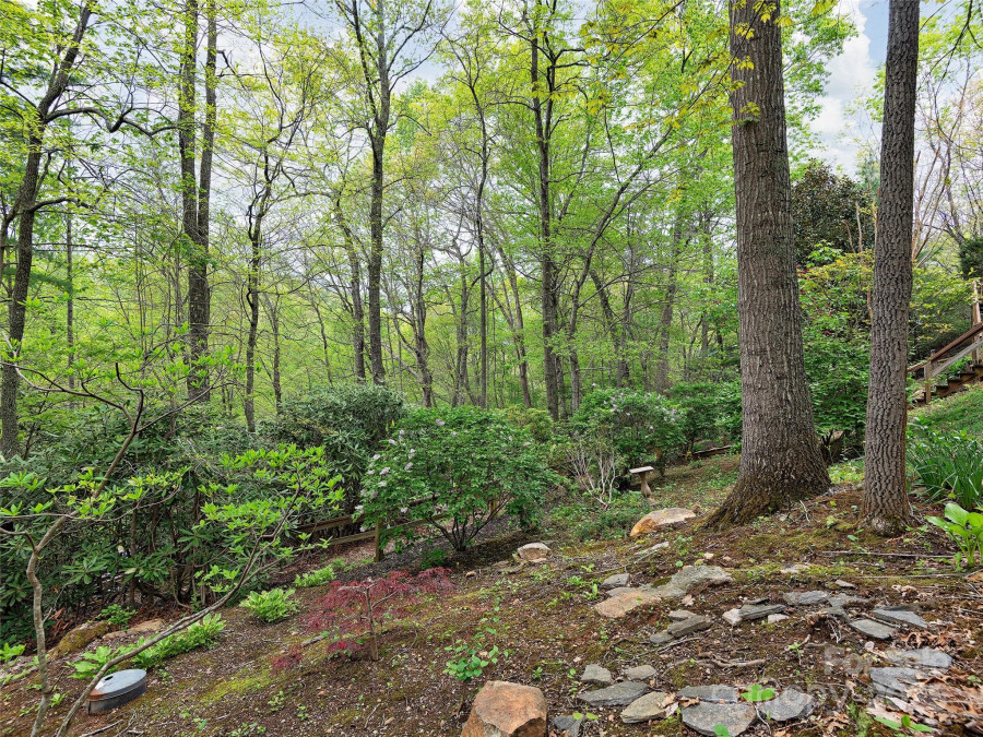 221 Holland Dr Black Mountain, NC 28711