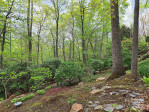 221 Holland Dr Black Mountain, NC 28711