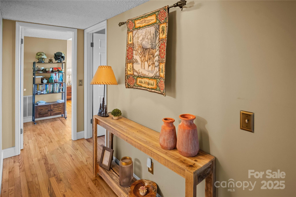 25 Little Falls Dr Tryon, NC 28782
