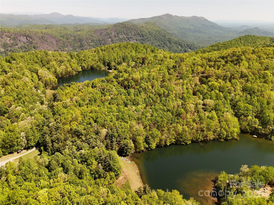 25 Little Falls Dr Tryon, NC 28782