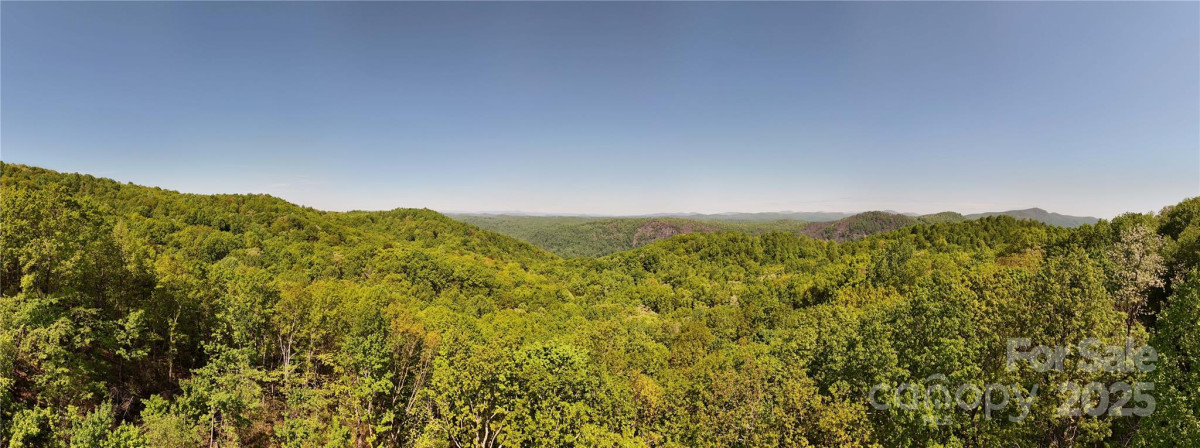 25 Little Falls Dr Tryon, NC 28782