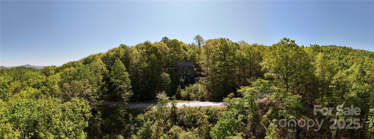 25 Little Falls Dr Tryon, NC 28782