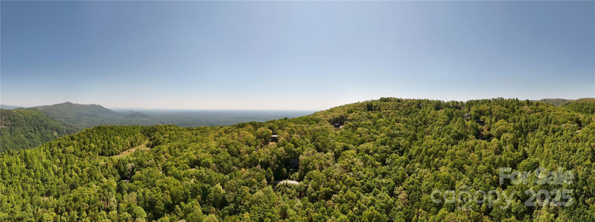 25 Little Falls Dr Tryon, NC 28782