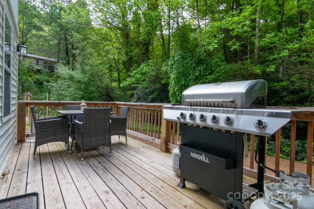 106 Dalton St Black Mountain, NC 28711