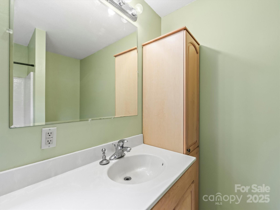 316 Big Raven Ln Saluda, NC 28773