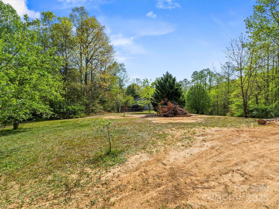 316 Big Raven Ln Saluda, NC 28773