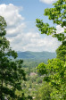106 Mccauley Dr Asheville, NC 28803