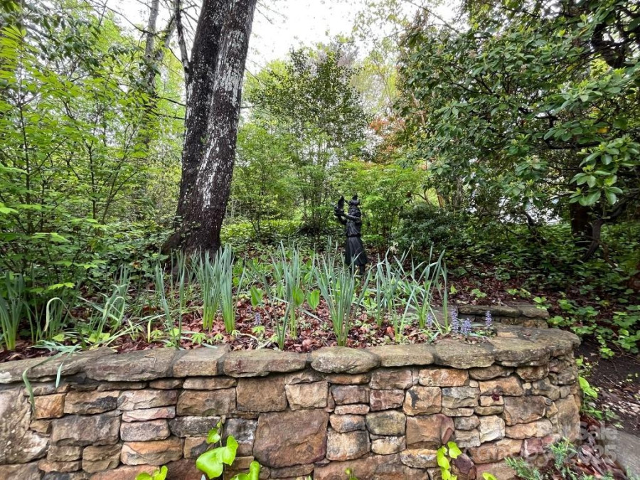 54 Wintergreen Dr Brevard, NC 28712