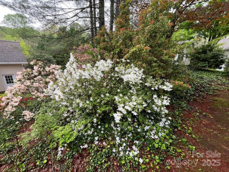 54 Wintergreen Dr Brevard, NC 28712