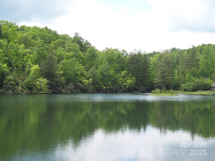 54 Wintergreen Dr Brevard, NC 28712