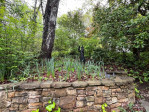 54 Wintergreen Dr Brevard, NC 28712
