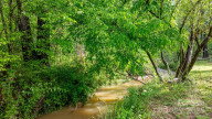 2325 Merts Way Hudson, NC 28638