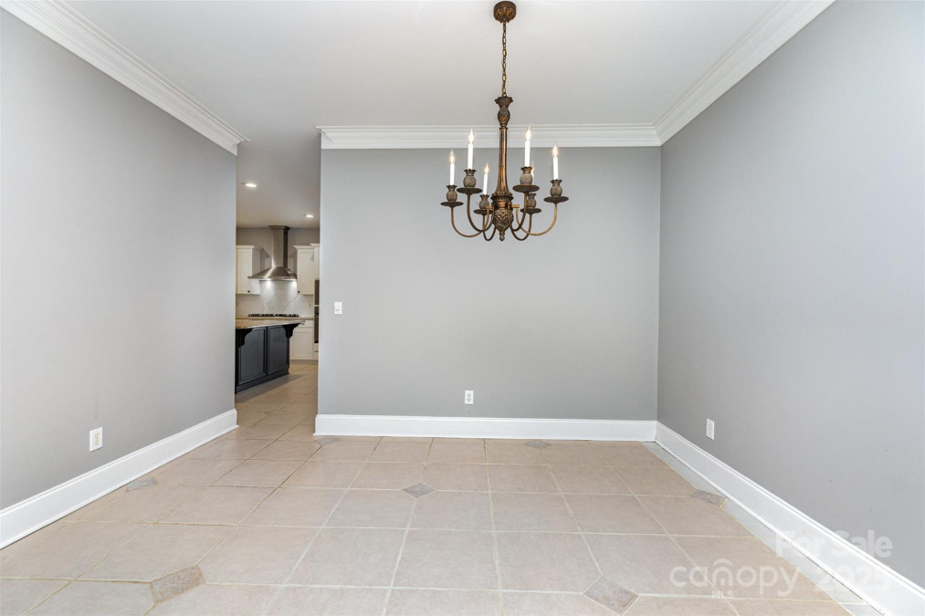 239 Faulkner Way Davidson, NC 28036
