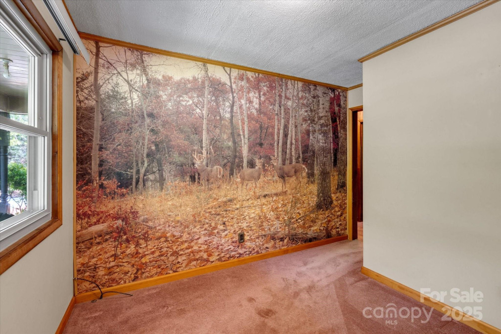12 Thumper Ln Arden, NC 28704