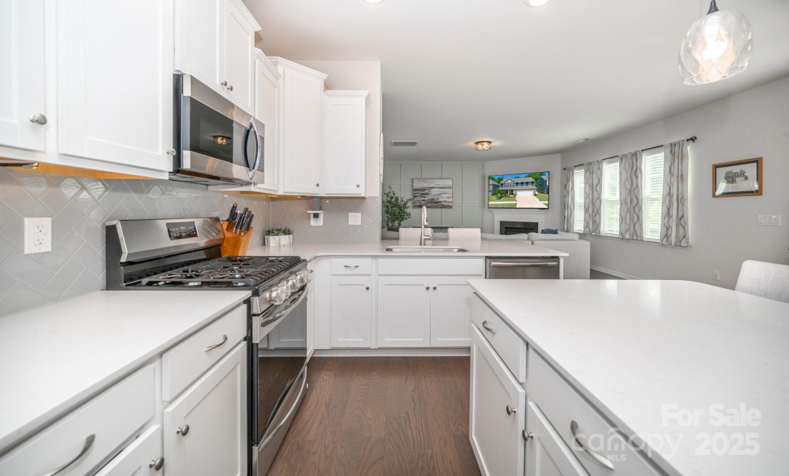 17228 River Race Dr Huntersville, NC 28078