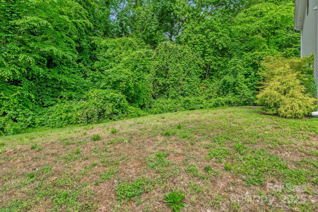 2908 Burgess Dr Charlotte, NC 28208