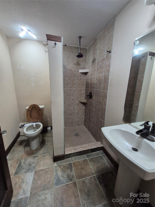 4 Three Dove Rd Candler, NC 28715