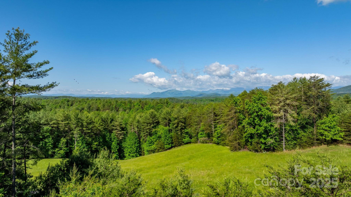 2775 Campbells Tc Nebo, NC 28761