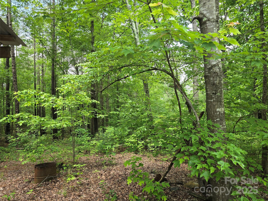 490 Deberry Rd Mount Gilead, NC 27306