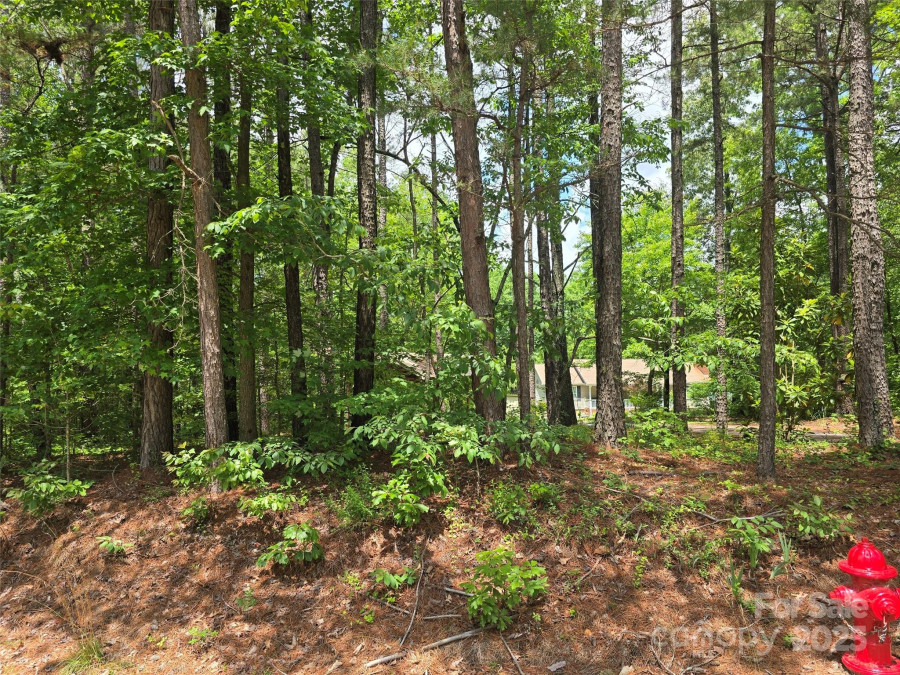 490 Deberry Rd Mount Gilead, NC 27306