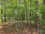 490 Deberry Rd Mount Gilead, NC 27306